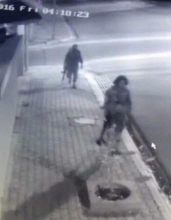 Los presuntos atacantes captados por