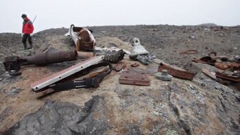 Más de 500 elementos fueron