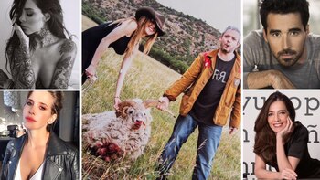 La indignación de los famosos