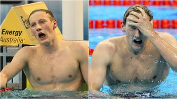 En las imágenes se aprecia