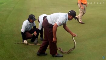 El personal del campo se