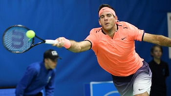 Del Potro ganó un torneo