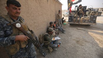 En las próximas semanas unos