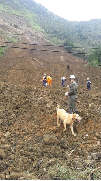 El hecho ocurrió como consecuencia