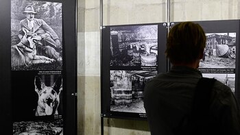 La exhibición despertó algunas críticas