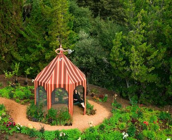 ‘Vestido comestible/Jardín’ . Montalvo Arts