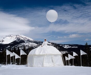 ‘Reina de hielo, carpa glacial’.