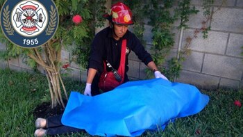 El cuerpo de Centeno