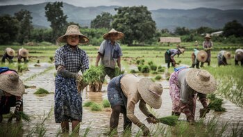 Myanmar es un país aquejado por