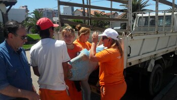 La virgen fue entregada en