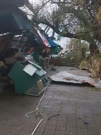 Hubo árboles caídos en toda