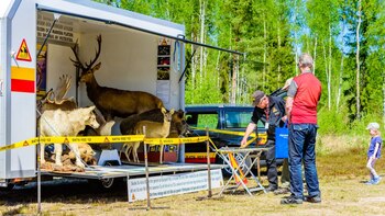 Los taxidermistas ocupan la segunda