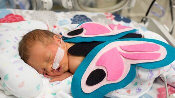 También había disfraces de mariposas