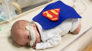 Los trajes fueron hechos por