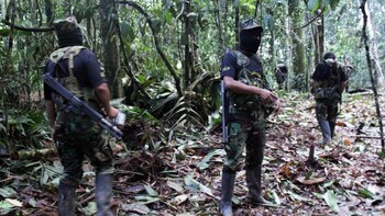 Terroristas del grupo en la