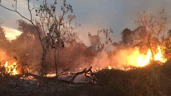 EL fuego en el campo
