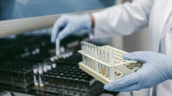 Para la producción de la