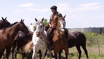 Los secretos del arreo de