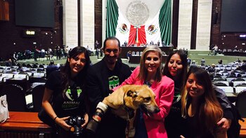 Fue el primer perro en