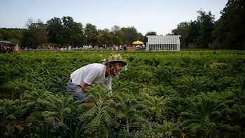 Pelle Mattsson es aprendiz de jardinero en Rosendals Tradgard (Reuters)