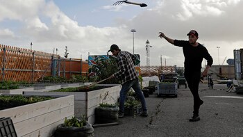 Kajodlingen es una granja urbana en la ciudad de Gotemburgo (Reuters)
