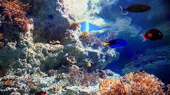 Imagen KVY4KEQAOJDOHIMWE6J2PFOL64