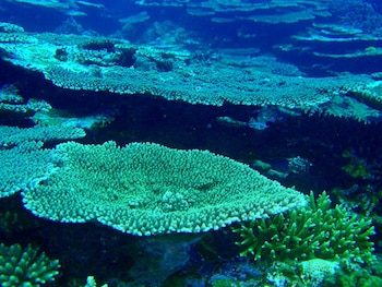 Imagen E22VMTD2CNGI7JQPZSEXVTX4KQ