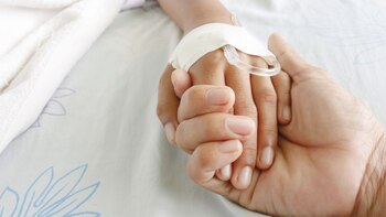 El análisis permite conocer la