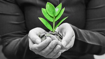 Cada vez más empresas apuesta por la sustentabilidad (iStock)