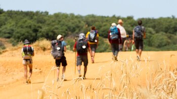 272.434 peregrinos culminaron la ruta