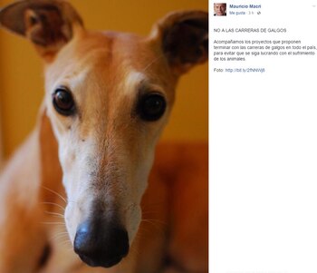 El Presidente se manifestó en