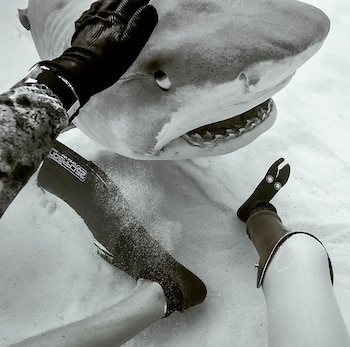 Mike Coots ha vuelto a