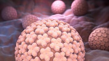 El virus de HPV puede