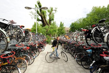 El exclusivo diseño del puente