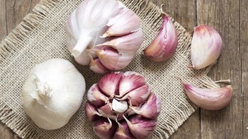 Las mujeres consideraron más atractivos