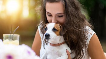 La ciudad tiene diferentes ofertas