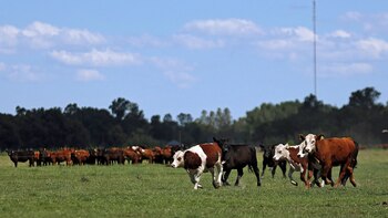 Locatelli encontró la manera de