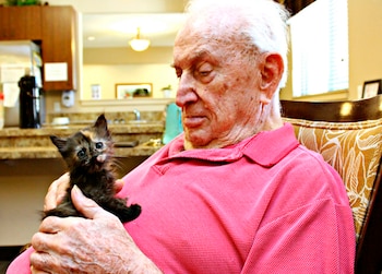 (Pima Animal Care Center)