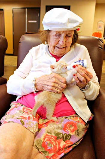 (Pima Animal Care Center)