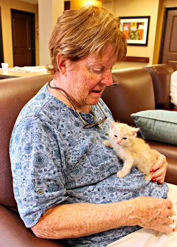 (Pima Animal Care Center)