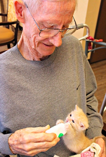 (Pima Animal Care Center)