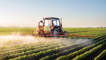 Los científicos citan evidencia de