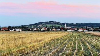 Otro circuito es la Baja