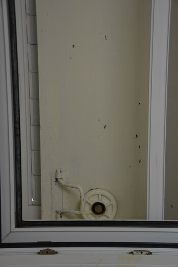 Salimson convirtió la pieza que