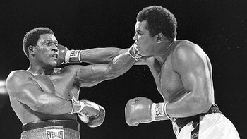 Berbevick venció a un Alí