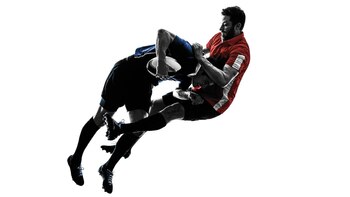 La investigadores entrecruzaron distinta información