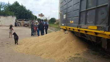 La soja que cayó de