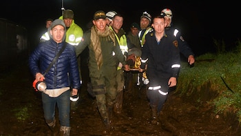 Las tareas de investigación se