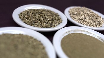 La yerba mate que usarán proviene de Brasil, mientras que el cannabis es producido en su totalidad en Uruguay (Adrián Escandar)