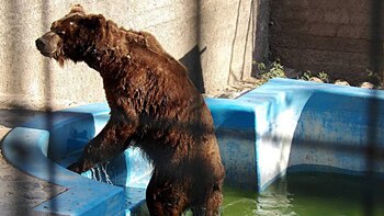 Zoológico La Rioja. Quedó prohibida